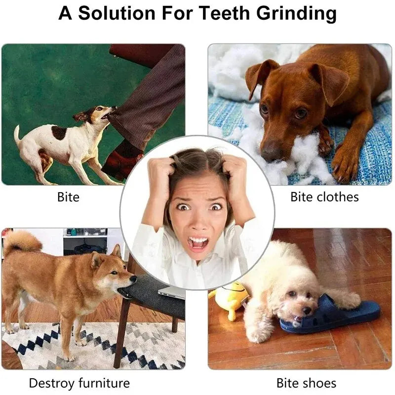 Dentashield™ Dog Treat Dispensing Ball