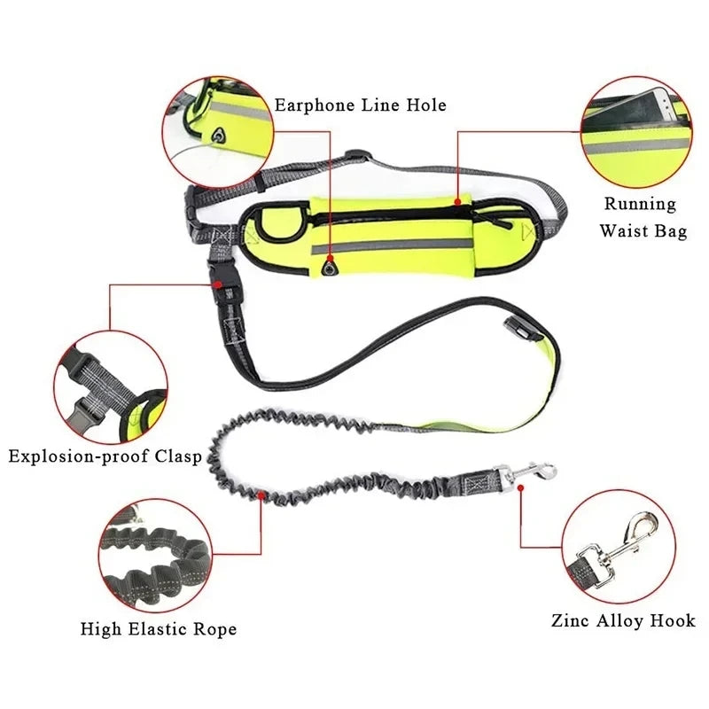 ActiveStride™ Hands-Free Running Dog Leash