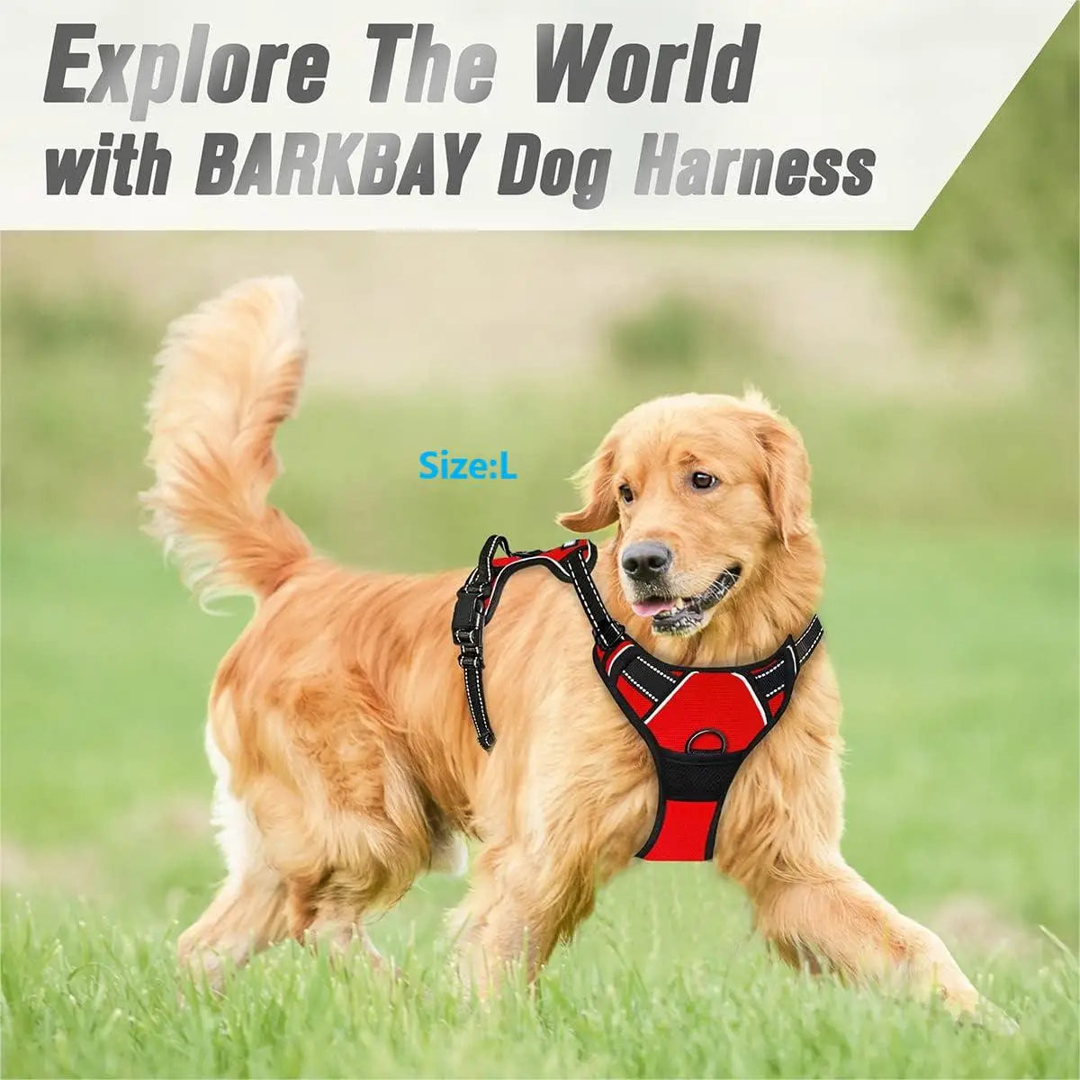 SafeWalk™ No-Pull Adjustable Dog Harness