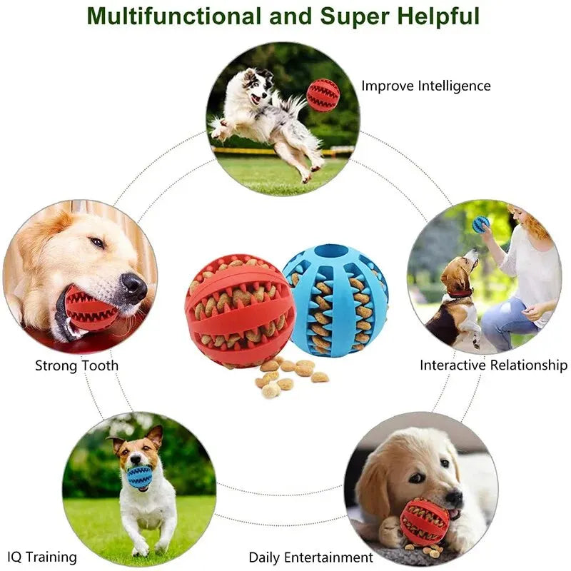 Dentashield™ Dog Treat Dispensing Ball