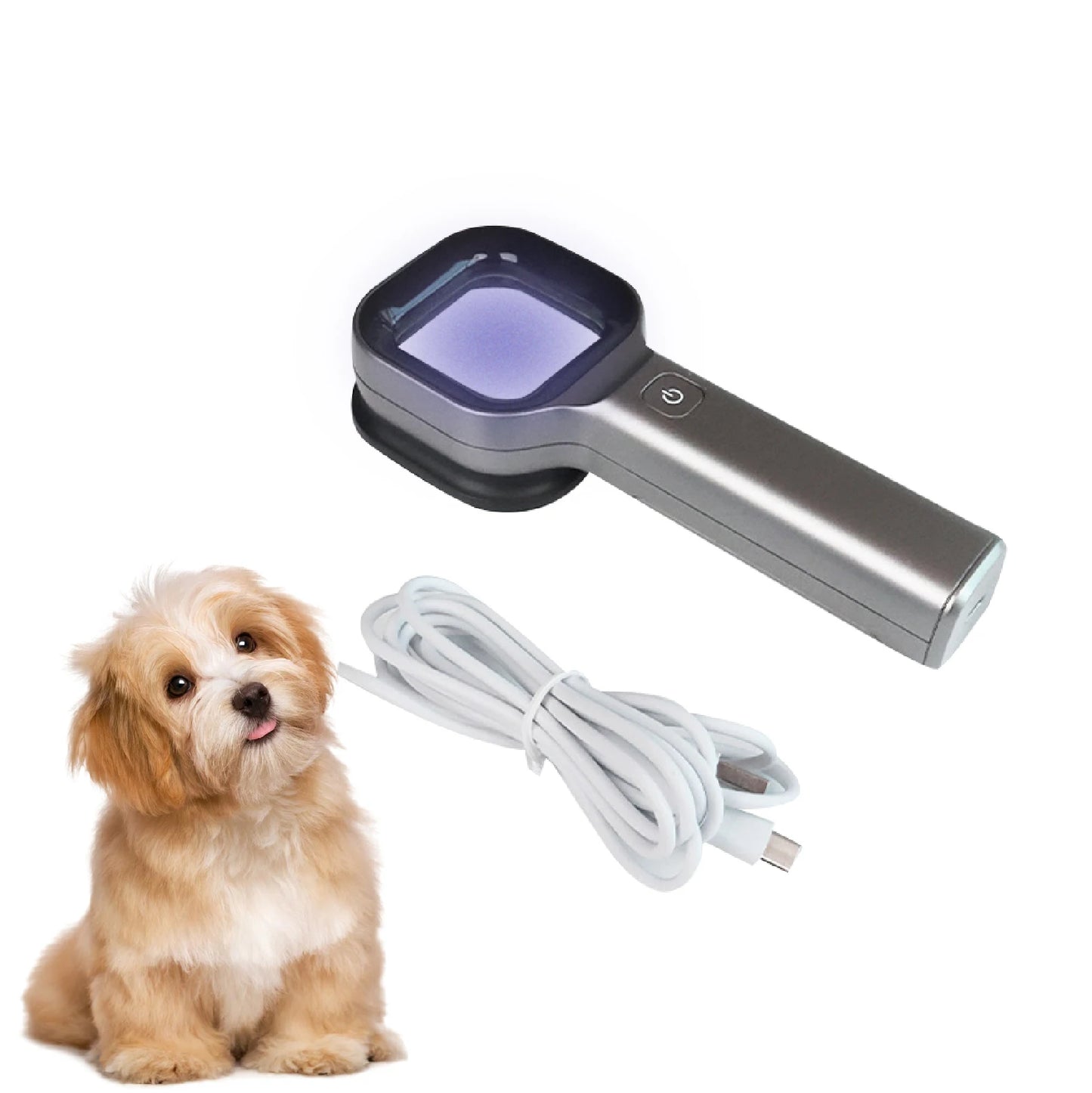 Pet Supplies Wood's Lamp USB Charging Handheld Filter Light Pet Skin Diagnosis Accessories Clinic