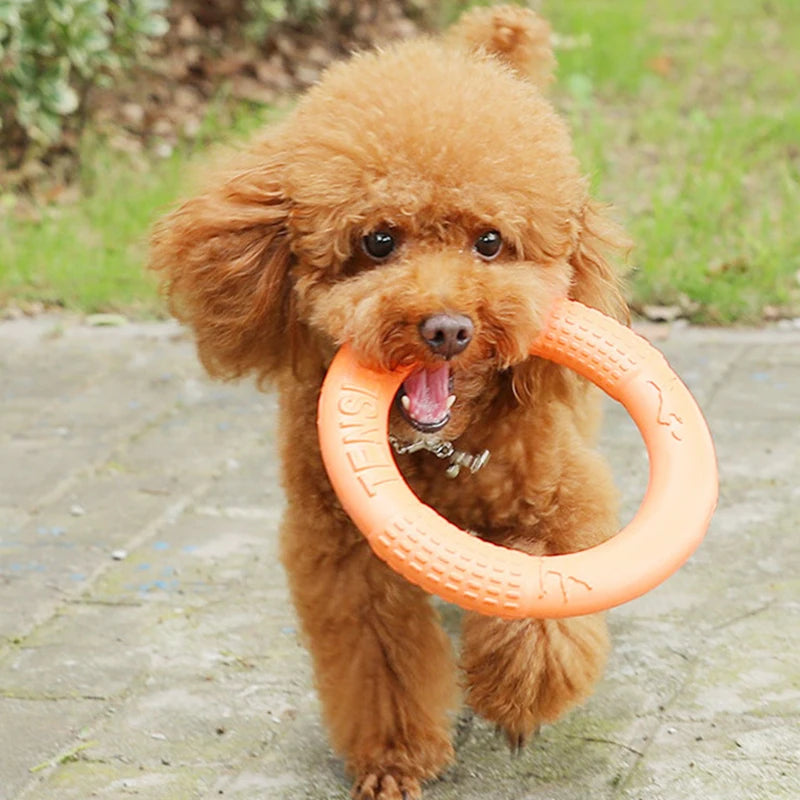 Indestructible EVA Floating Pet Puller Ring
