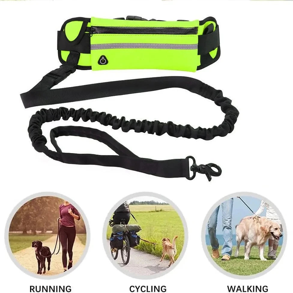 ActiveStride™ Hands-Free Running Dog Leash