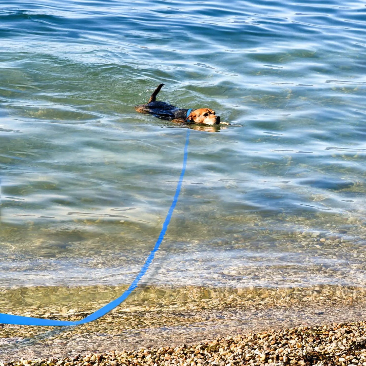 SafeRecall™ Pro Waterproof PVC Tracking Lead